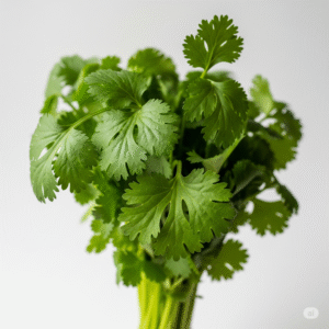 Coriander (Dhaniya Patta)