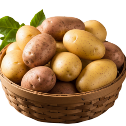 Potato (Aloo)