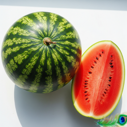 Watermelon (tarbuja)