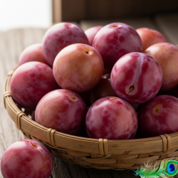 Indian Plum