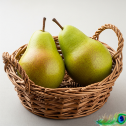 Packham Pear - South Africa