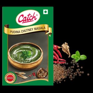 Catch- Pudina Chutney Masala