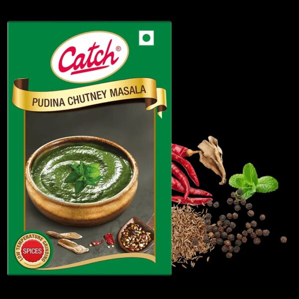 Catch- Pudina Chutney Masala