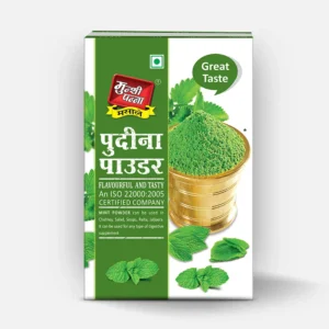 Munshi Panna Pudina Powder Masala- 100gm